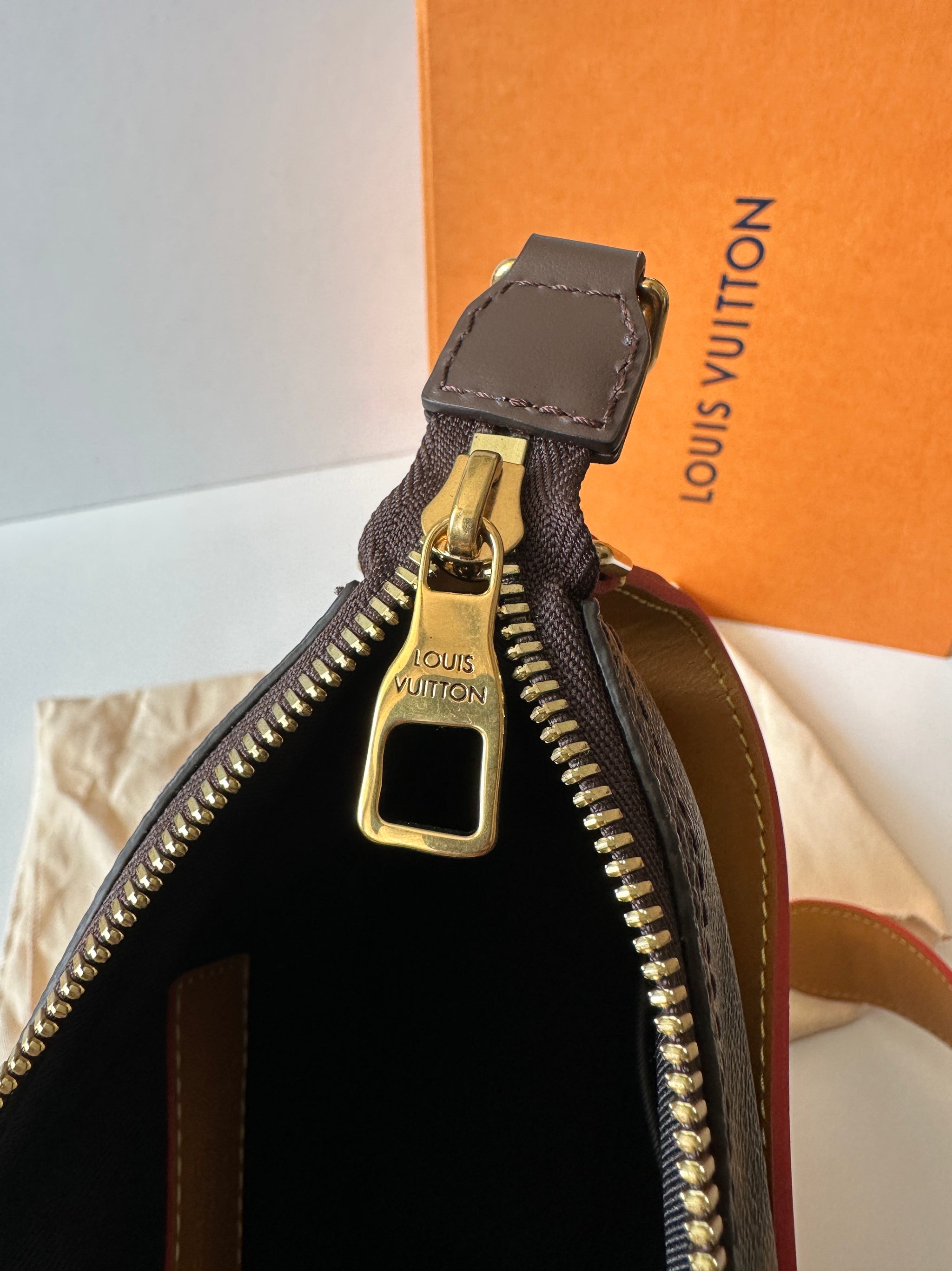 Borse louis vuitton su wish recensioni store